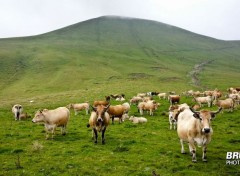  Trips : Europ Col de la Croix-Morand