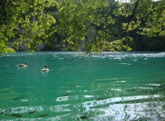  Nature Plitvice Lake 