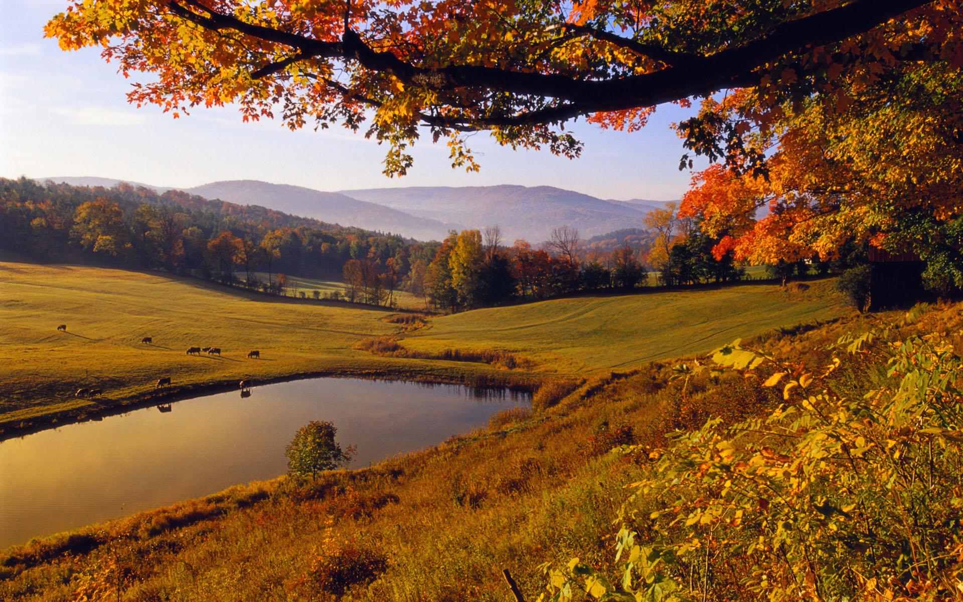 Fonds d'cran Nature Lacs - Etangs 