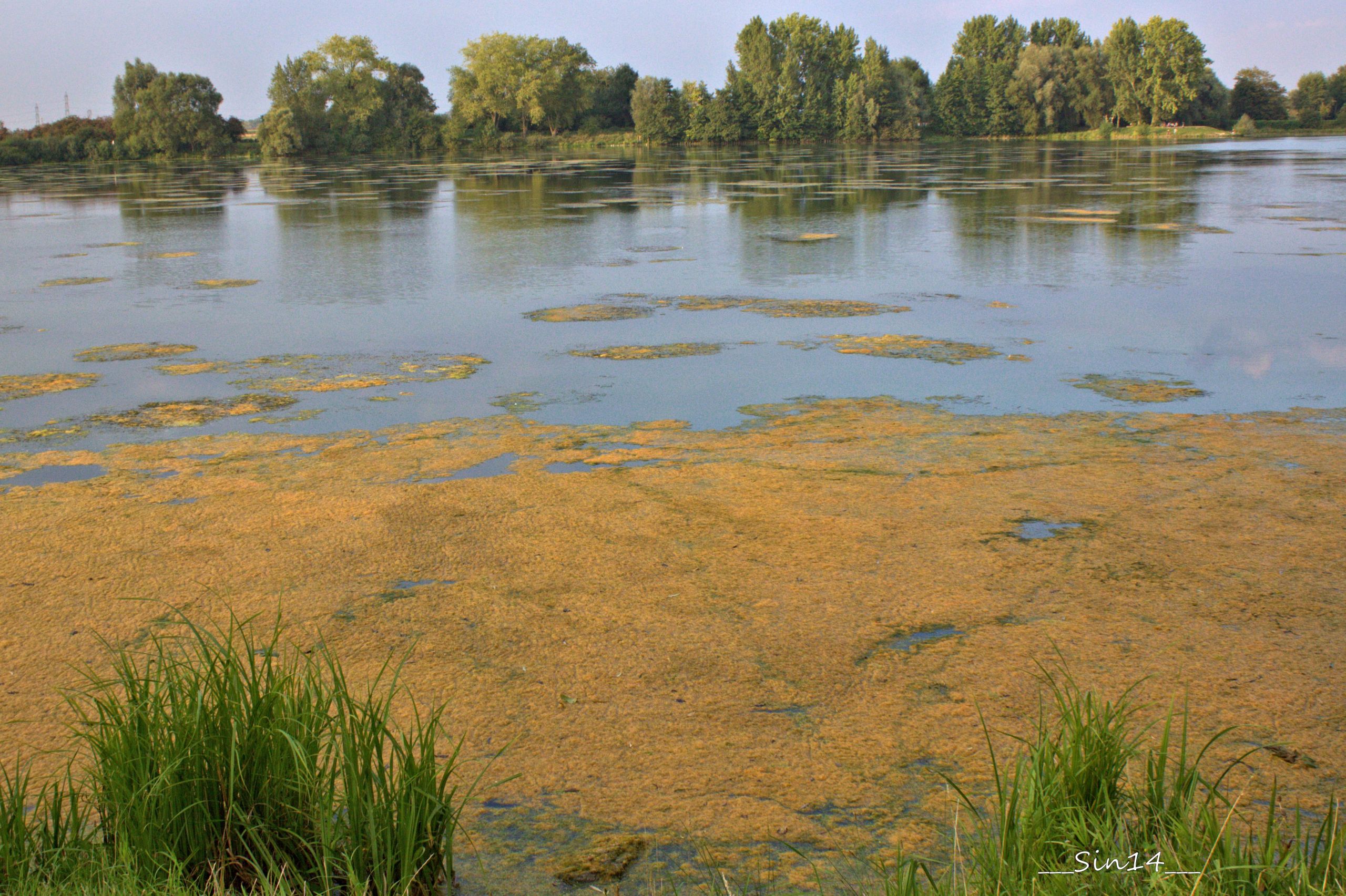 Fonds d'cran Nature Lacs - Etangs LAC DU HERON