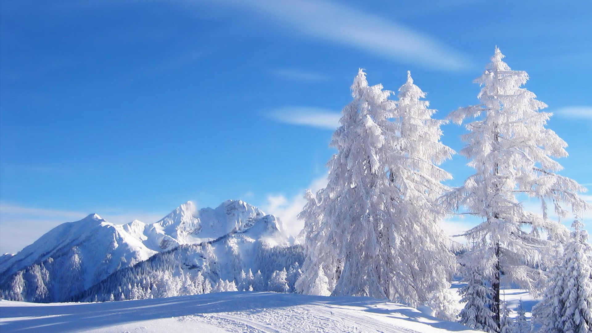 Wallpapers Nature Saisons - Winter 