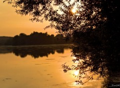  Nature LAC DU HERON