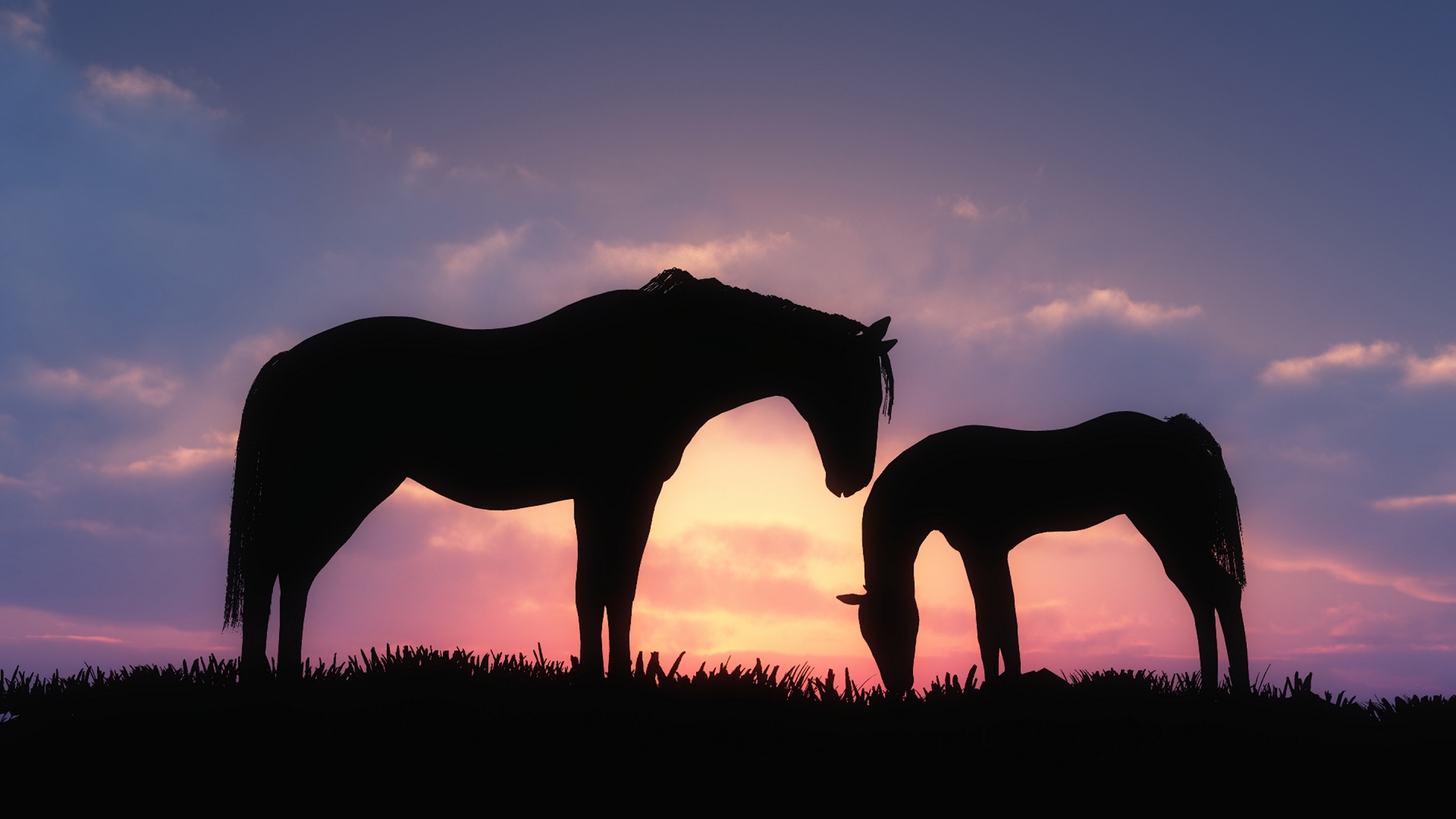 Fonds d'cran Animaux Chevaux 