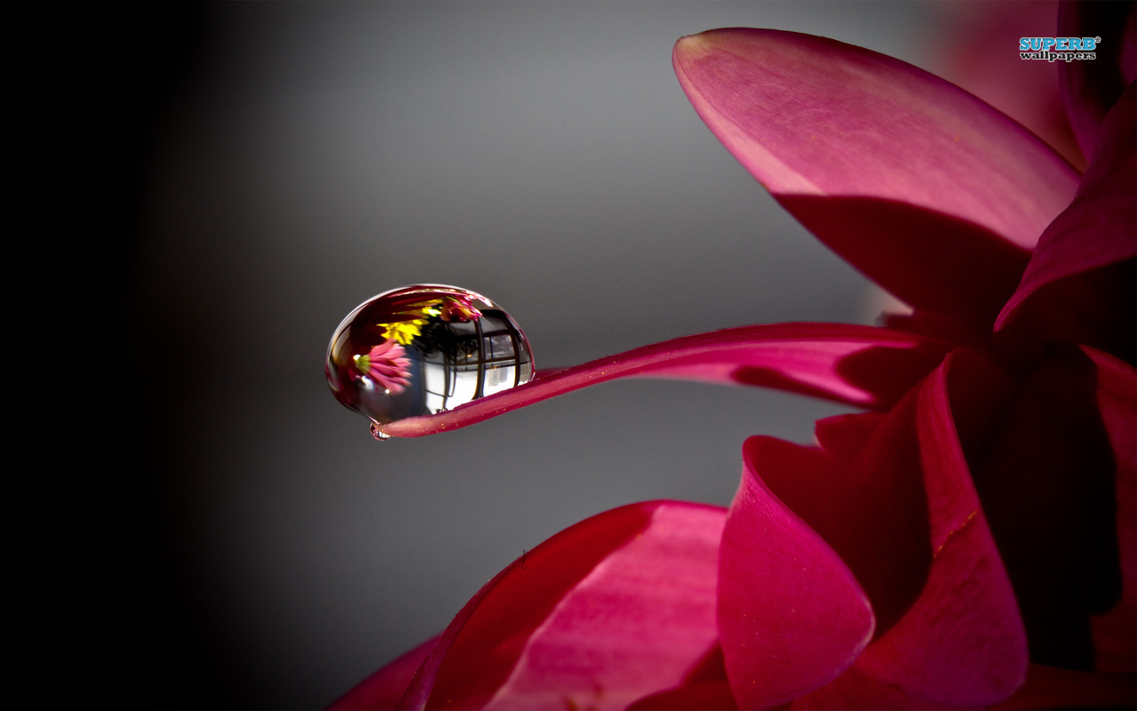 Wallpapers Nature Water - Drops 