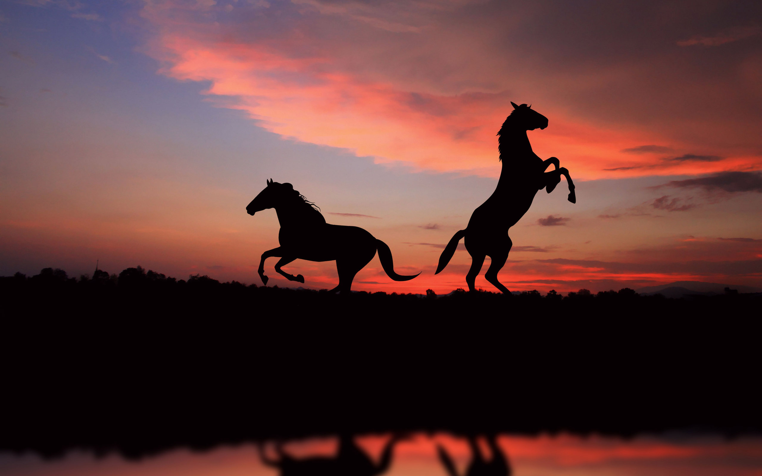 Wallpapers Animals Horses 