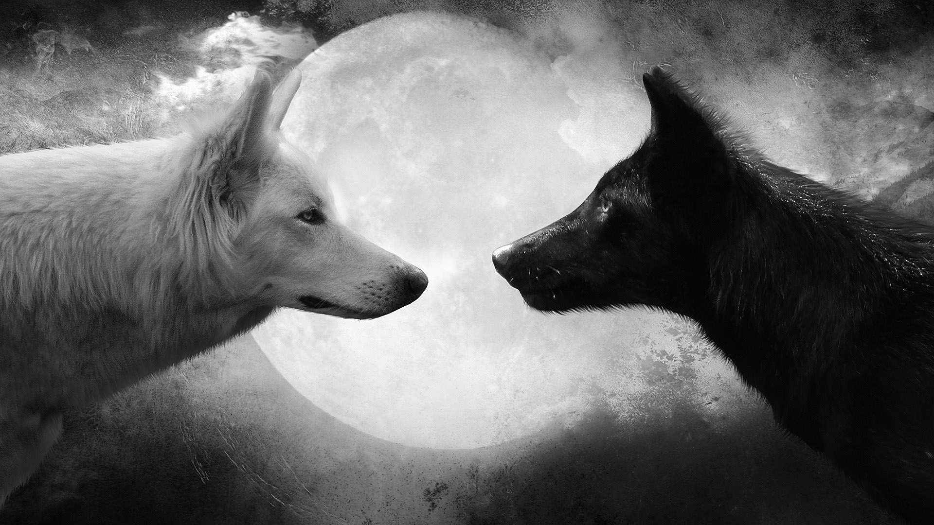 Wallpapers Animals Wolves 