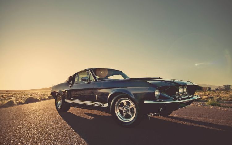 Wallpapers Cars Mustang Wallpaper N382582