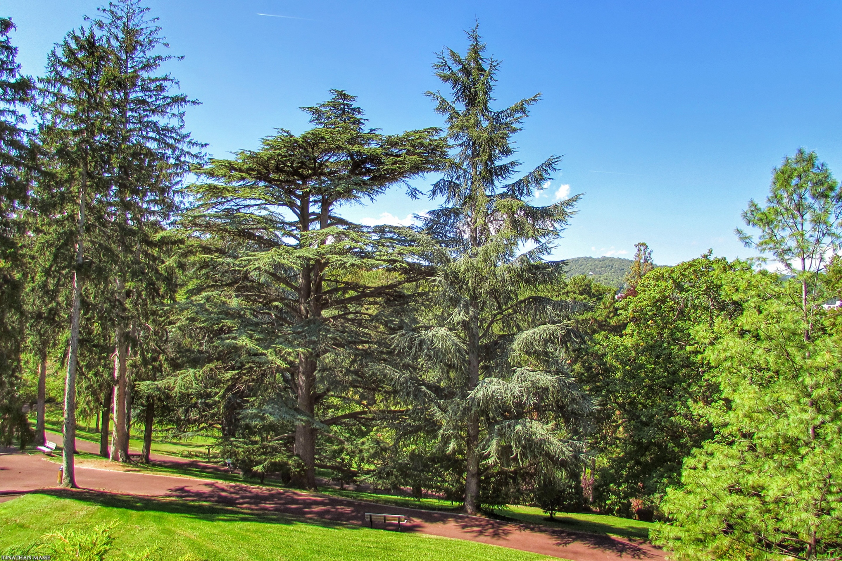 Fonds d'cran Nature Parcs - Jardins Parc HDR