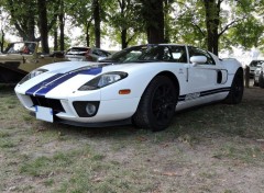  Cars Ford GT