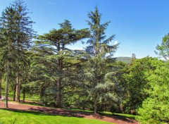  Nature Parc HDR