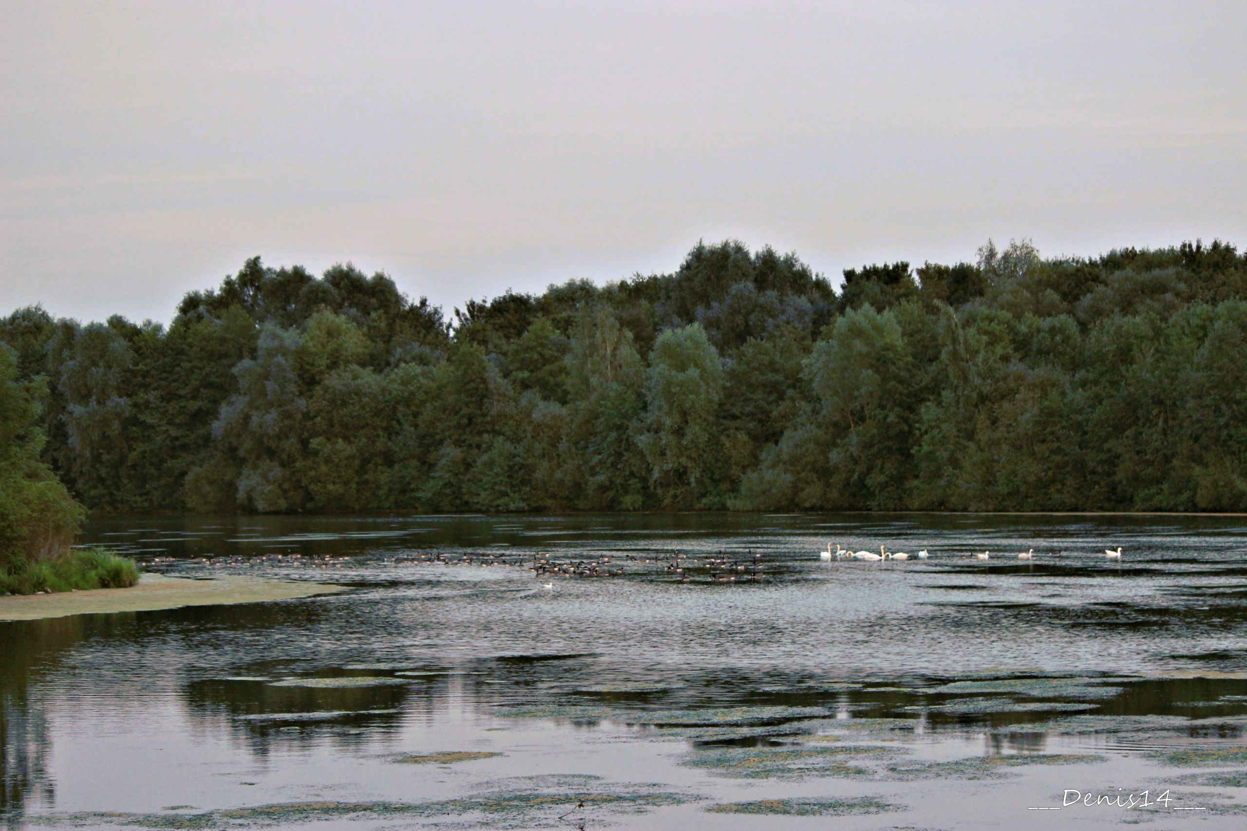 Wallpapers Nature Lakes - Ponds 