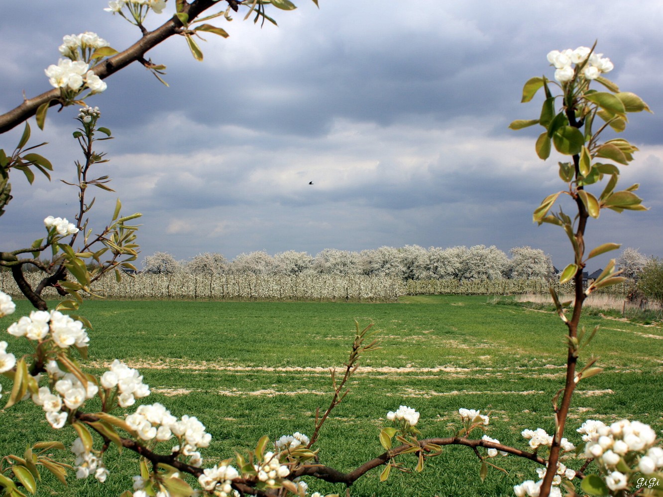 Fonds d'cran Nature Paysages Paysage de printemps