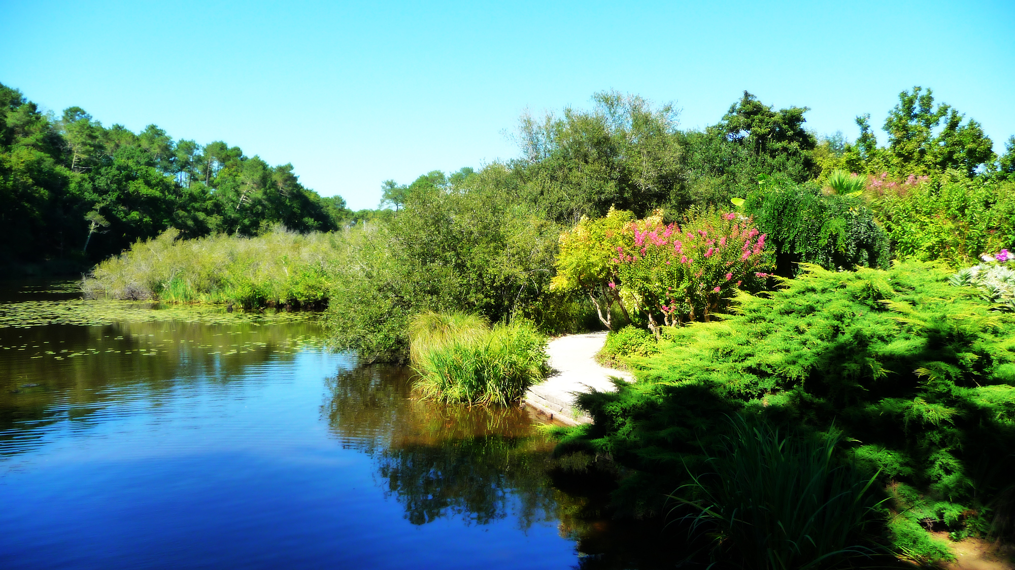 Fonds d'cran Nature Lacs - Etangs 