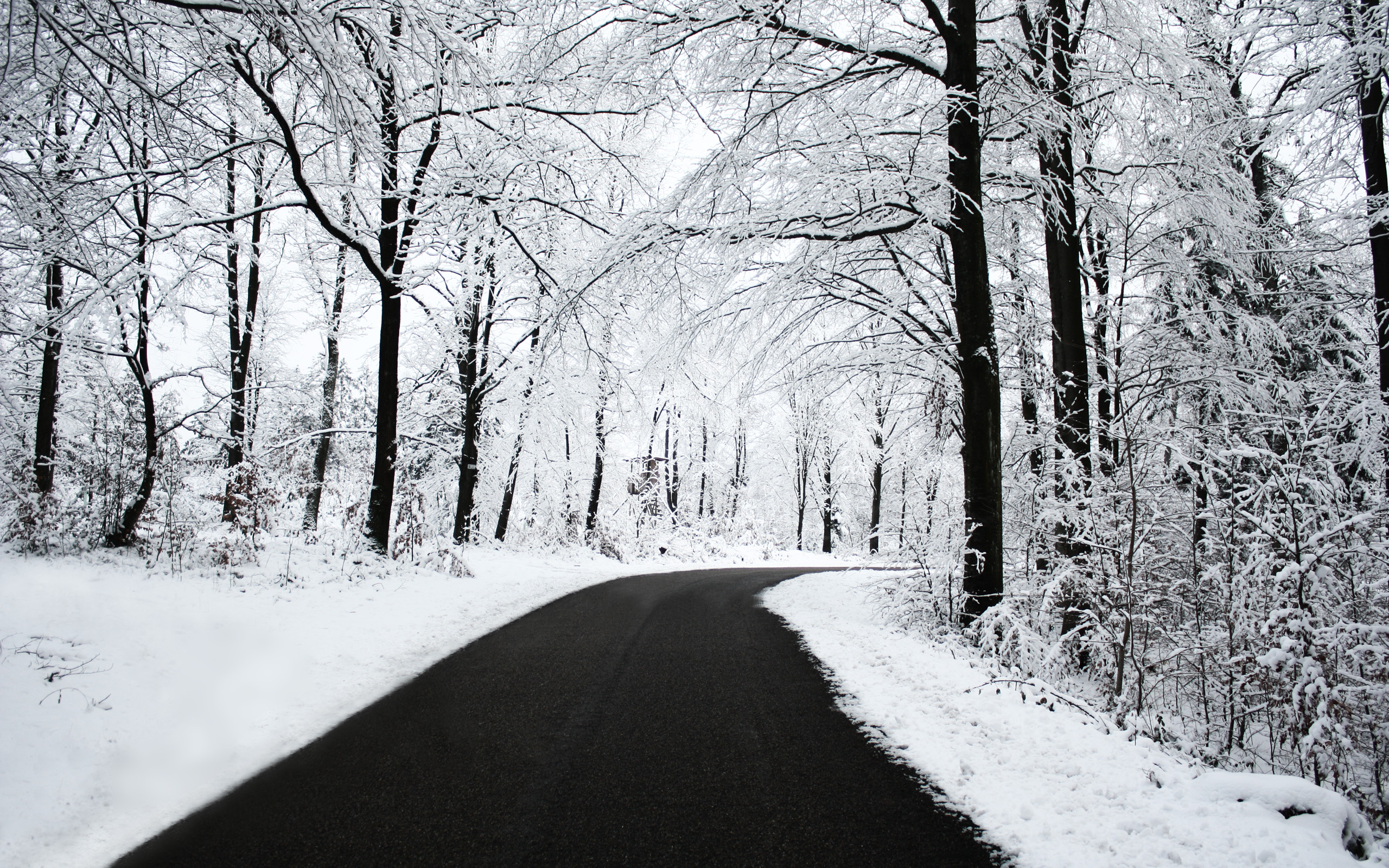 Fonds d'cran Nature Saisons - Hiver 