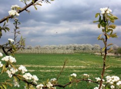  Nature Paysage de printemps