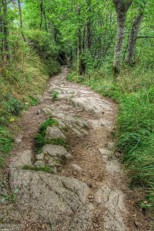 Fonds d'cran Nature Chemins Chemin HDR