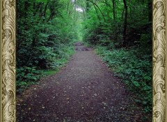  Nature Forêt