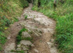  Nature Chemin HDR