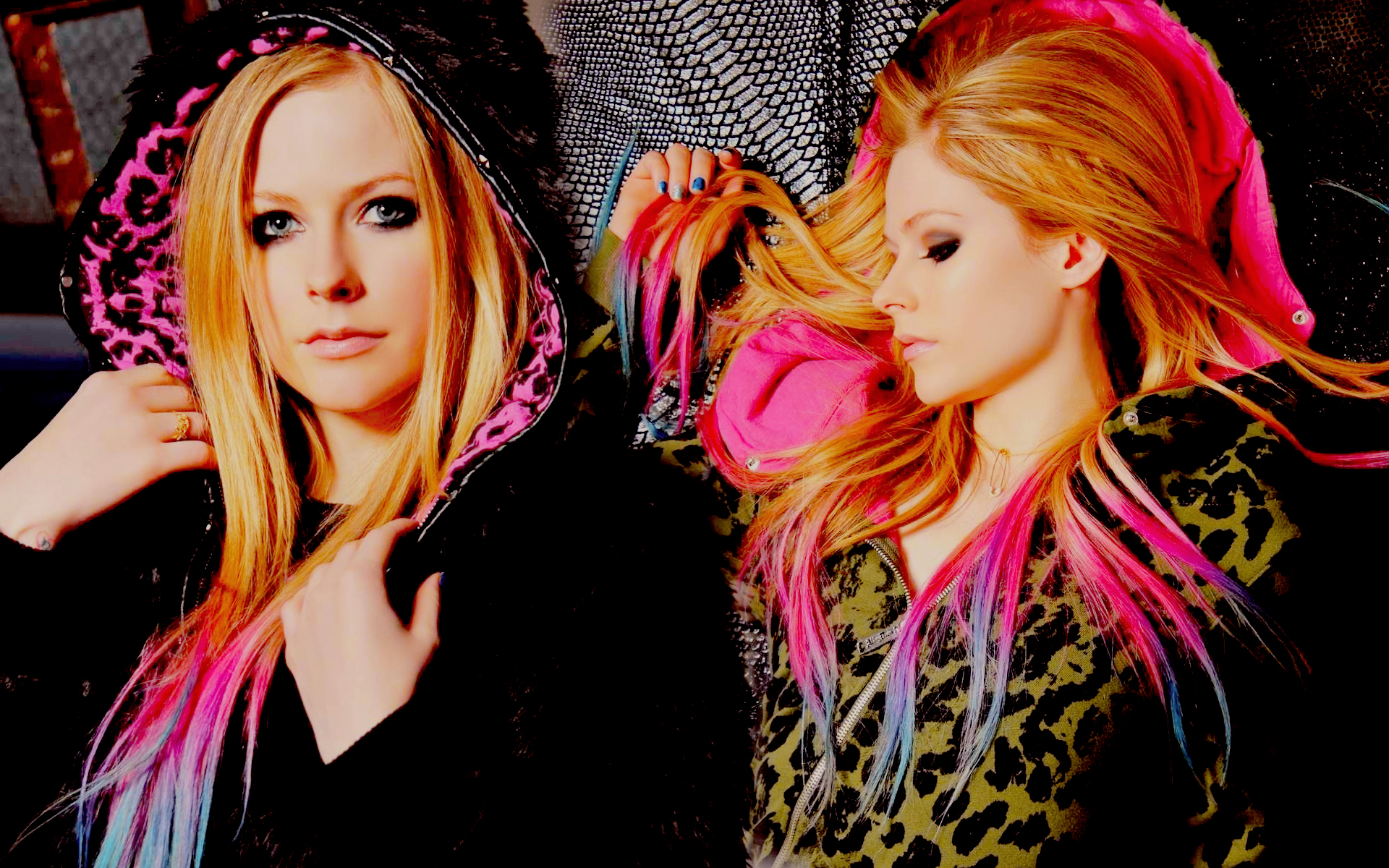 Wallpapers Music Avril Lavigne 