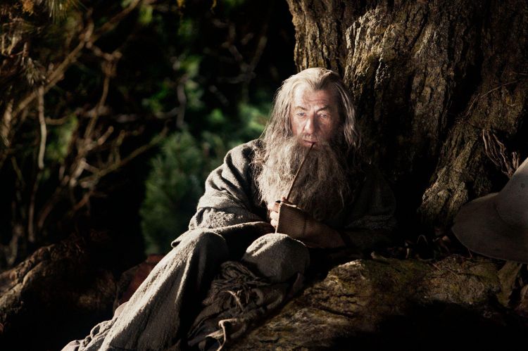 Wallpapers Movies The Lord of the Rings: The Fellowship of the Ring Gandalf