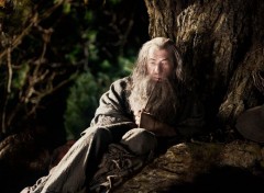  Movies Gandalf