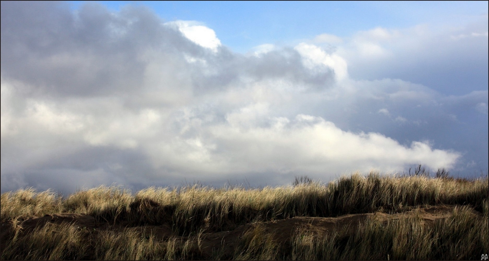 Fonds d'cran Nature Mers - Ocans - Plages Middelkerke-Westende (Belgique)