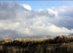  Nature Middelkerke-Westende (Belgique)