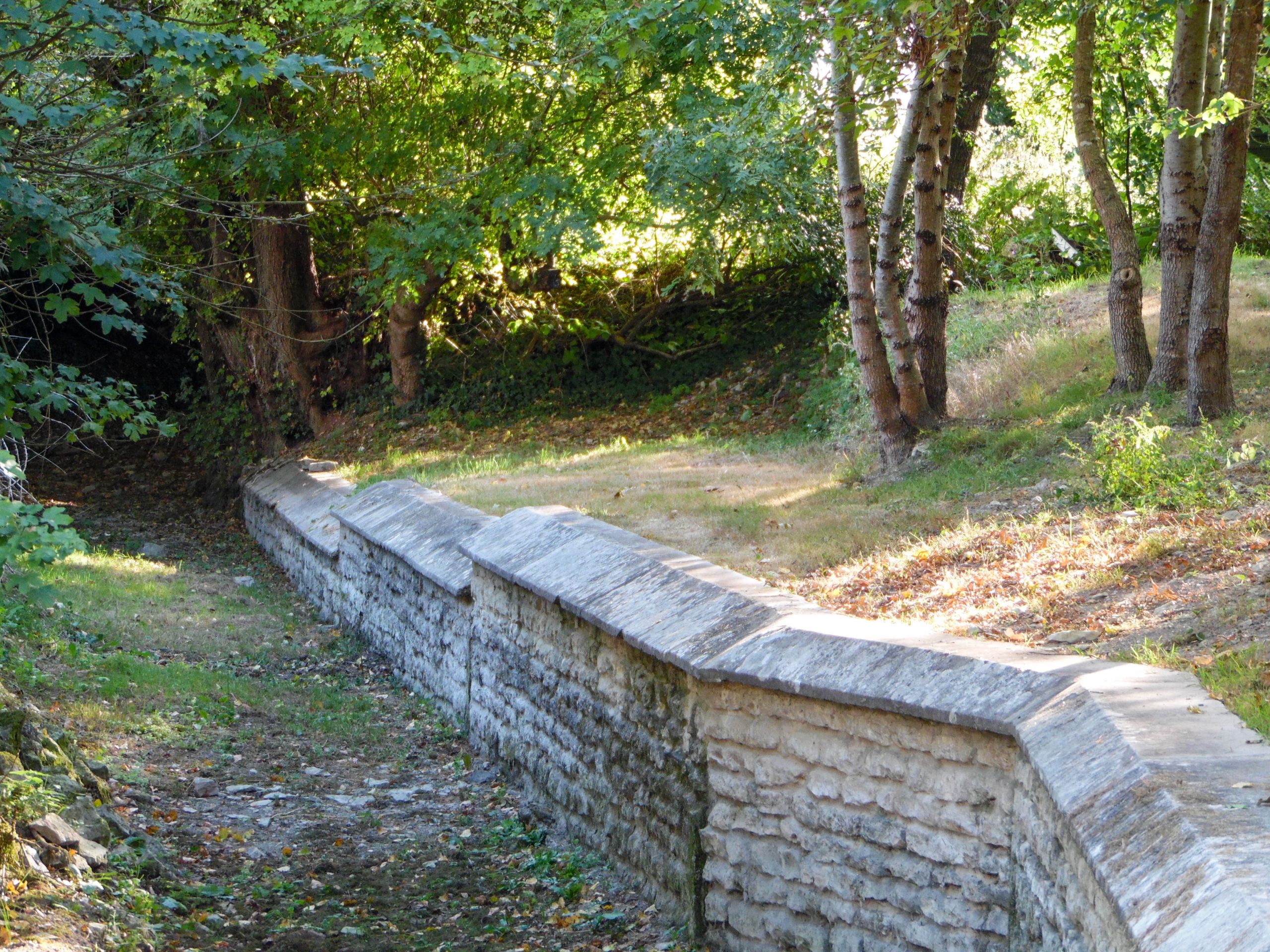 Fonds d'cran Nature Arbres - Forts 