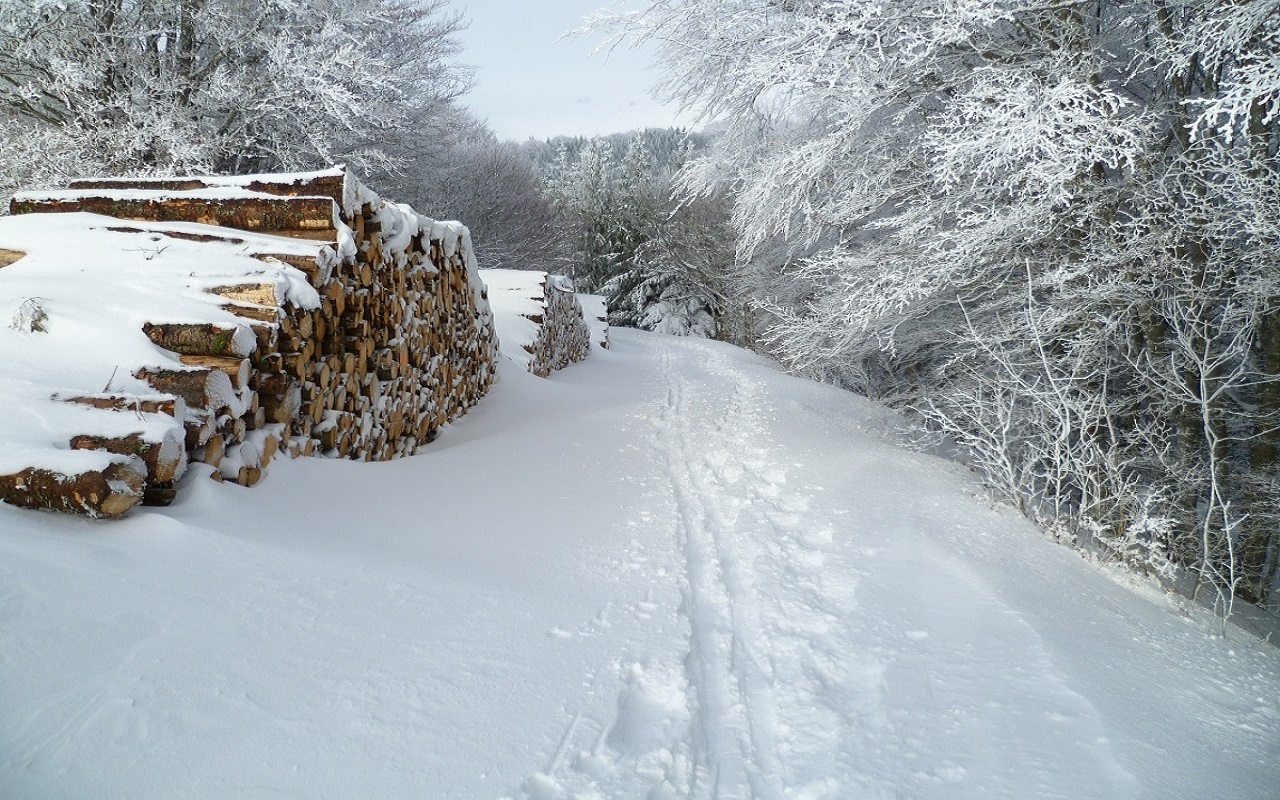 Wallpapers Nature Saisons - Winter 