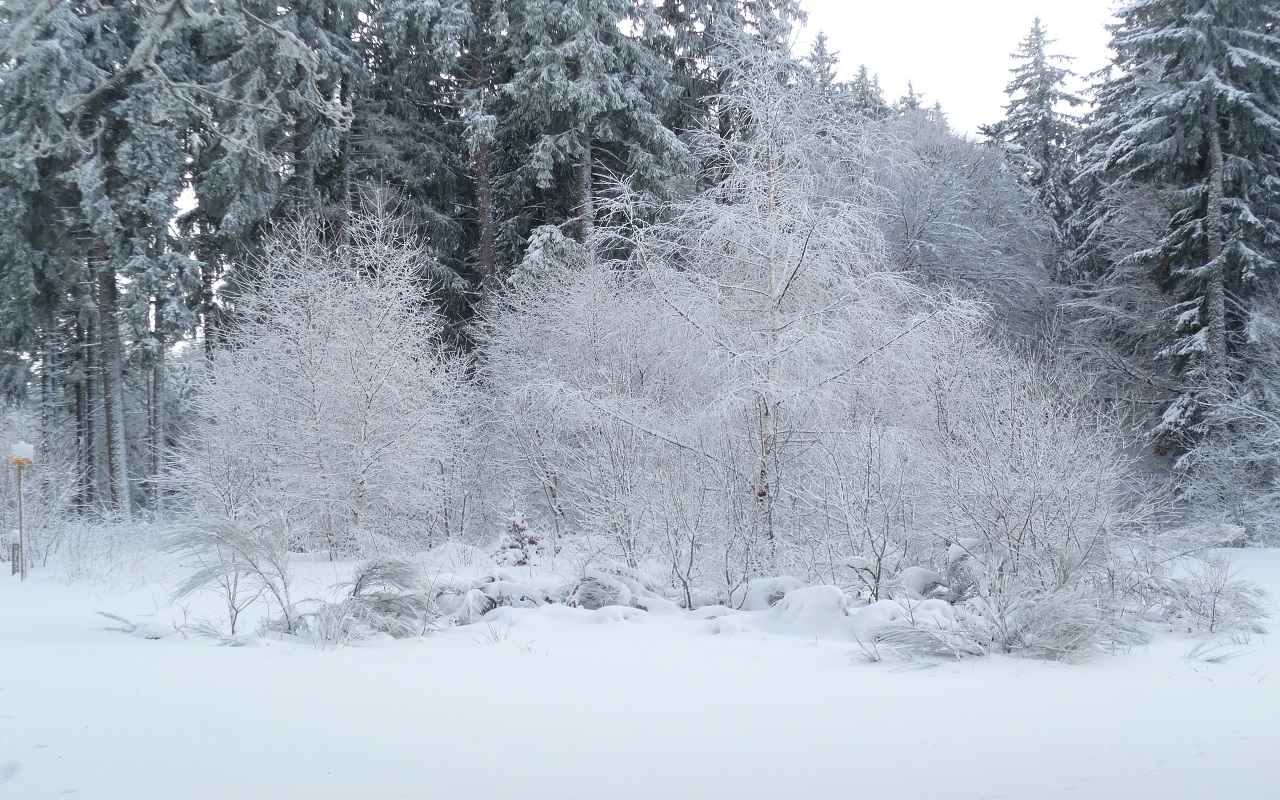 Fonds d'cran Nature Saisons - Hiver 