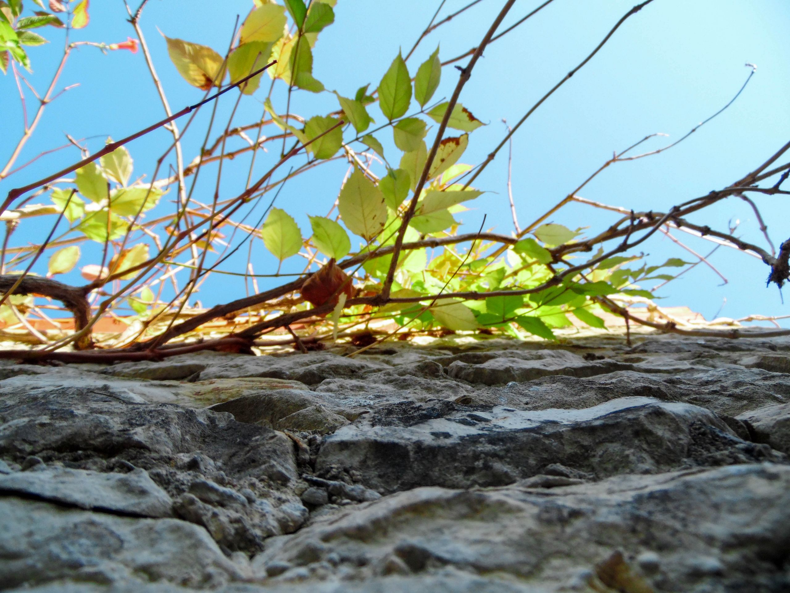 Fonds d'cran Constructions et architecture Toits - Murs - Cltures 