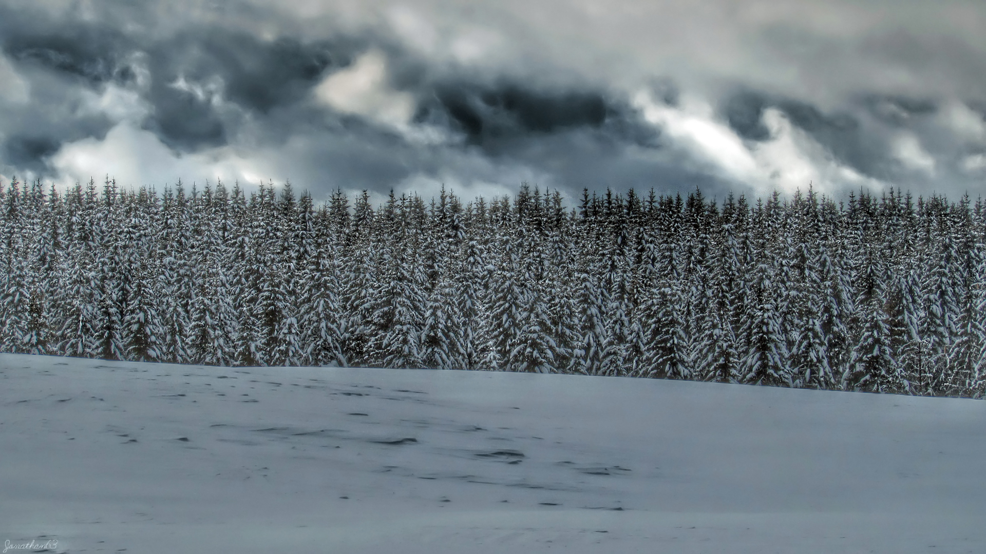 Fonds d'cran Nature Paysages Paysage d'hiver