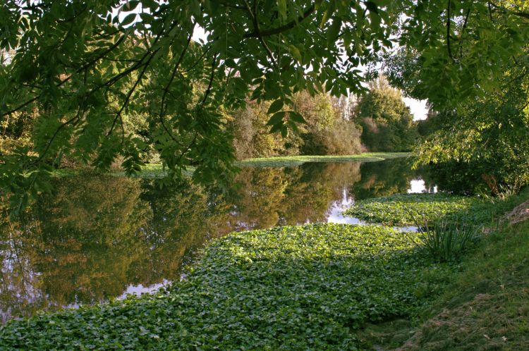 Fonds d'cran Nature Fleuves - Rivires - Torrents LA LYS