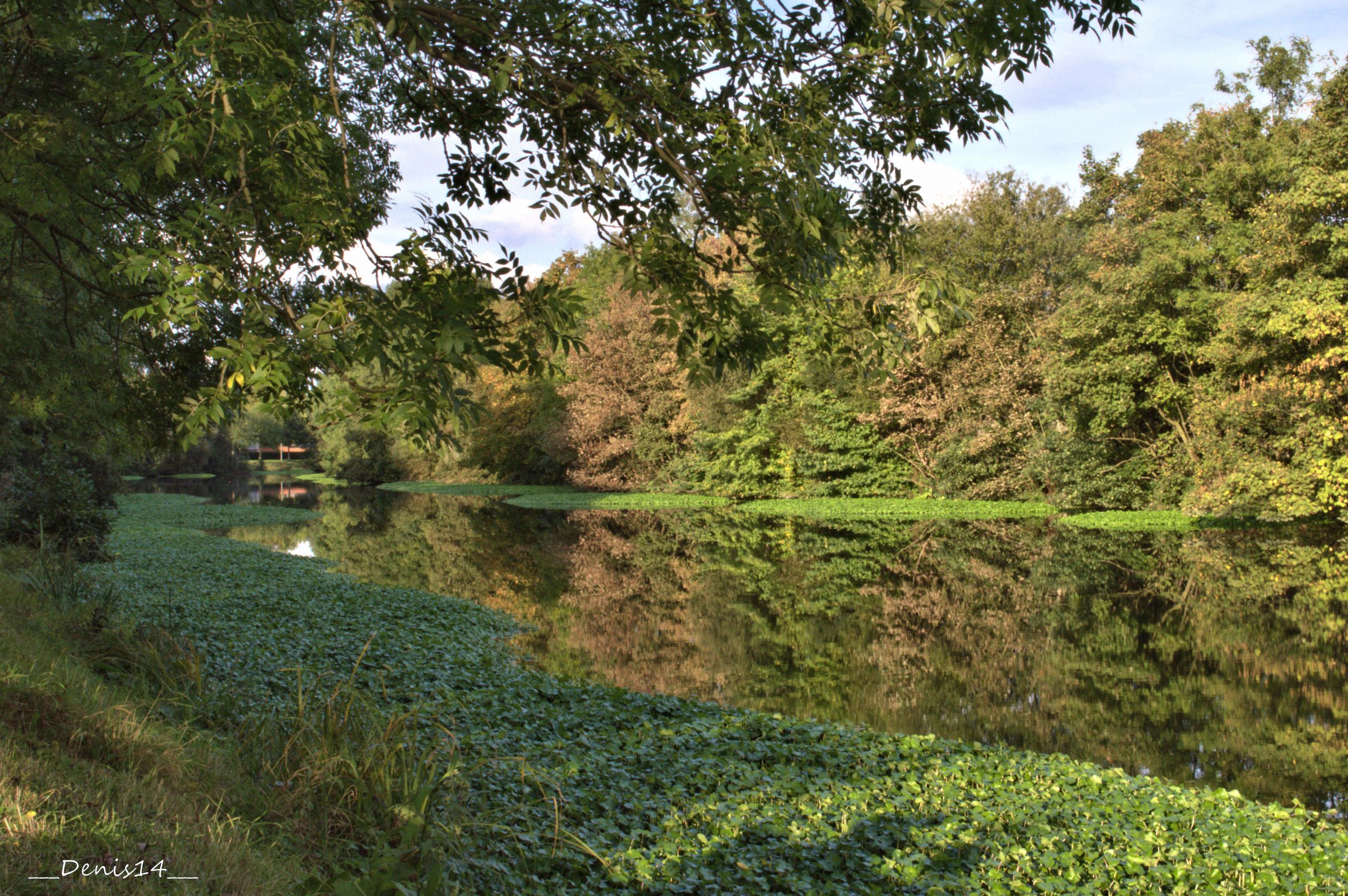 Wallpapers Nature Rivers - Torrents LA LYS