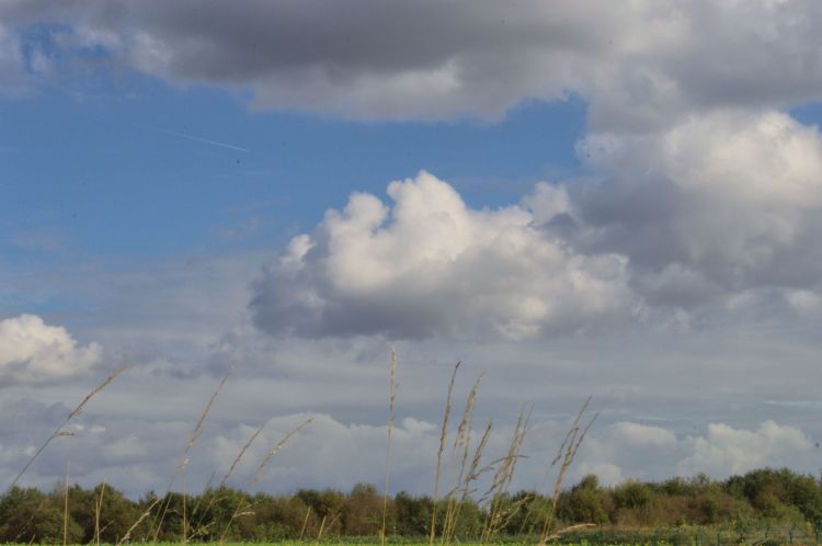 Fonds d'cran Nature Ciel - Nuages Wallpaper N384993