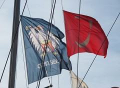  Boats Voiles de Saint Tropez