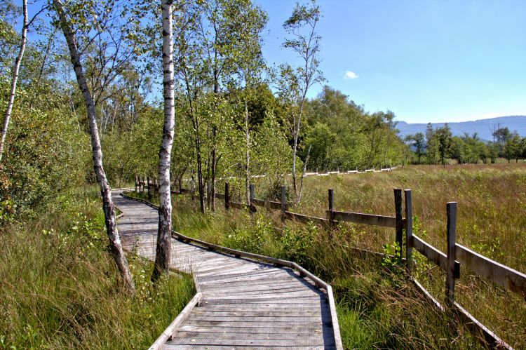 Wallpapers Nature Paths reserve naturelle de lavours