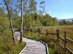  Nature reserve naturelle de lavours