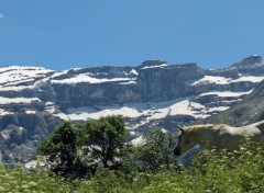  Nature gavarnie