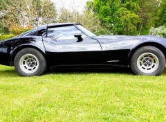  Cars Corvette C3 1979