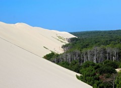  Nature dune du pylat