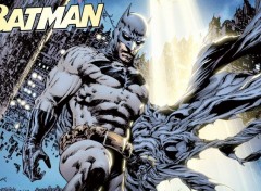  Comics et BDs Batman