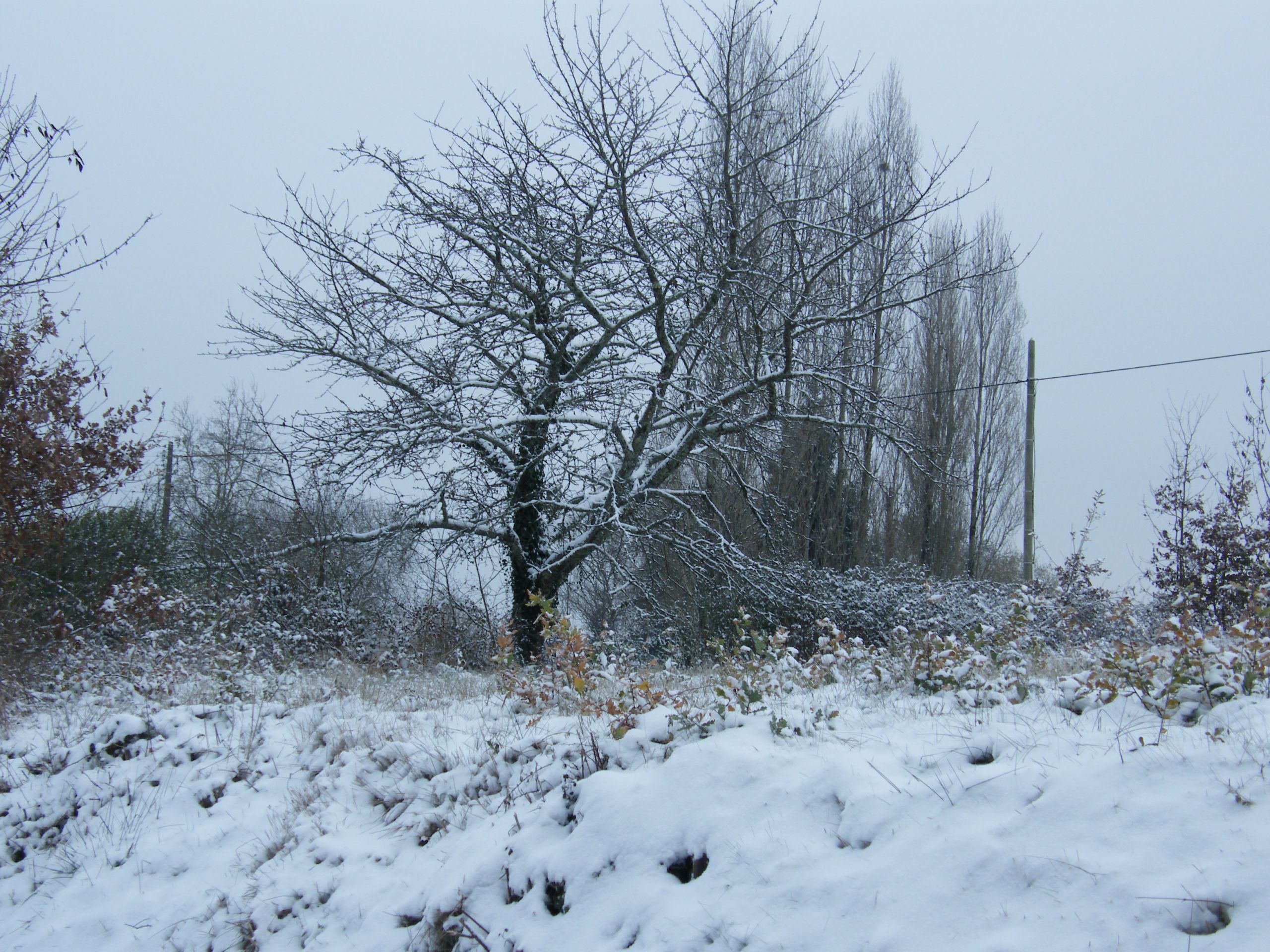 Fonds d'cran Nature Saisons - Hiver 