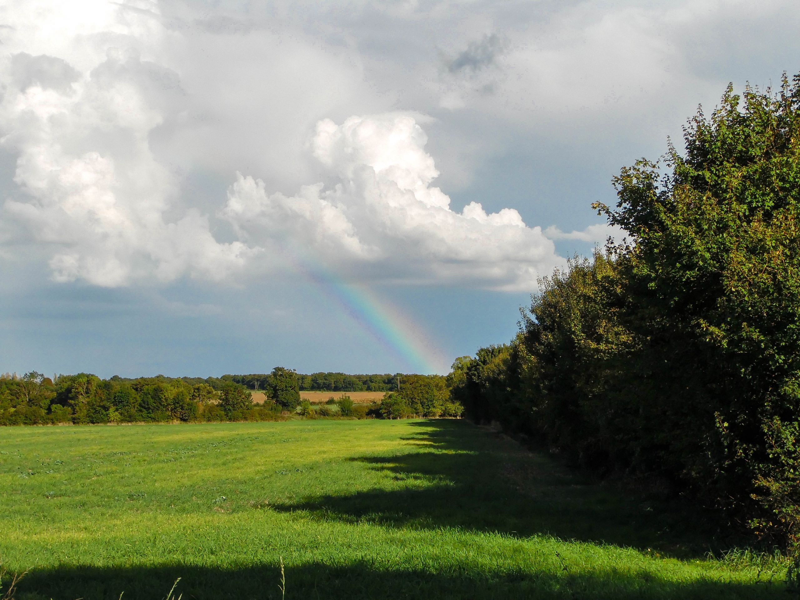 Fonds d'cran Nature Paysages 