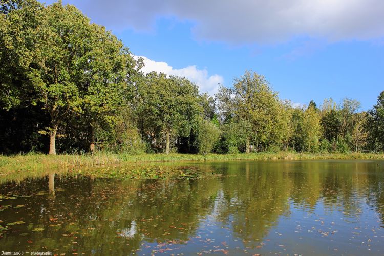 Fonds d'cran Nature Lacs - Etangs Étang.