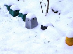  Nature Pots de fleurs sous la neige