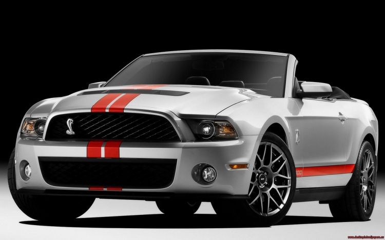 Wallpapers Cars Mustang Wallpaper N387344