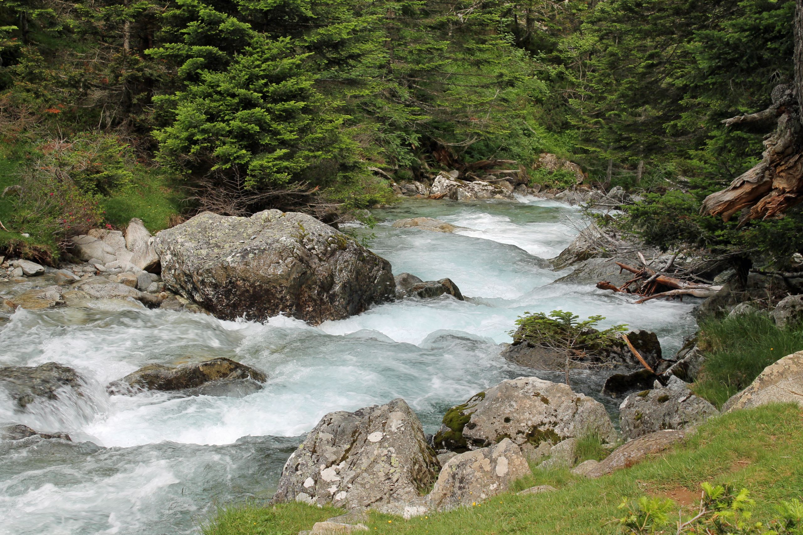 Fonds d'cran Nature Fleuves - Rivires - Torrents 