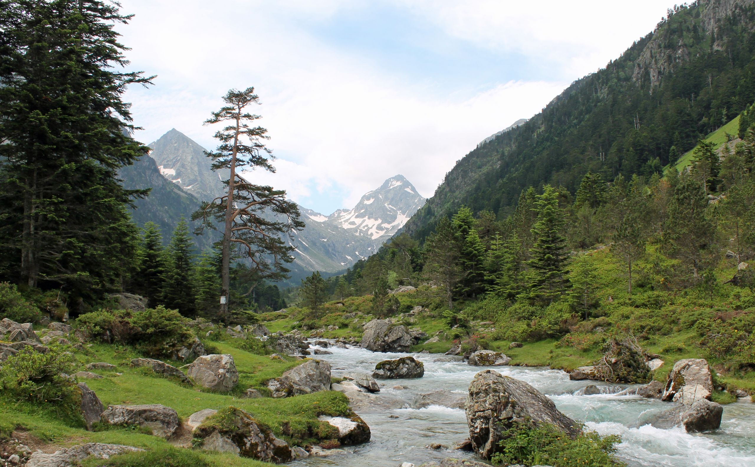 Wallpapers Nature Mountains Cauterets : la fruitire