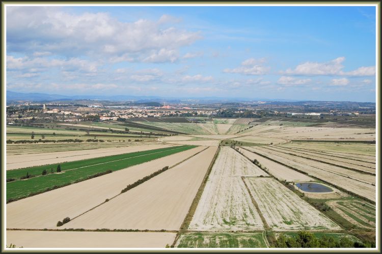 Fonds d'cran Nature Champs - Prairies Etang assch de Montady (11)